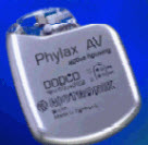 Phylax AV